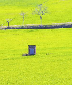 Little building in the middle of a green field, with trees in the back