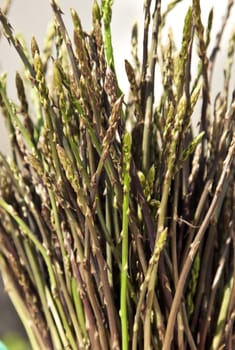 bunch of fresh wild asparagus