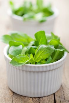 fresh herbs