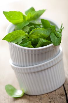 fresh herbs 