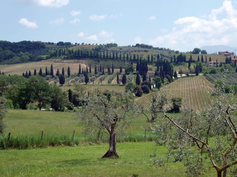 The hills surrounding Abbey of Sant'Antimo