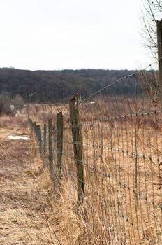 fence with forest in background