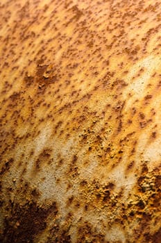 Rust on metal surface