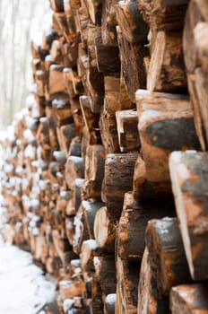 Logs of wood piled up with snow on them