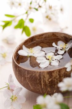white flowers in bowl for spa
