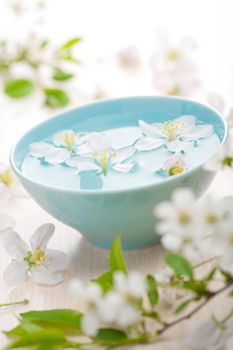 spring flowers for spa and aromatherapy 