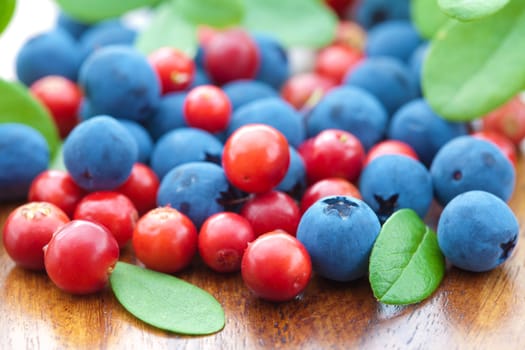 fresh berries