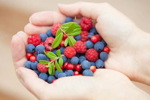 hands holding fresh berries