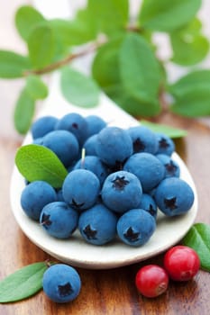 fresh blueberry