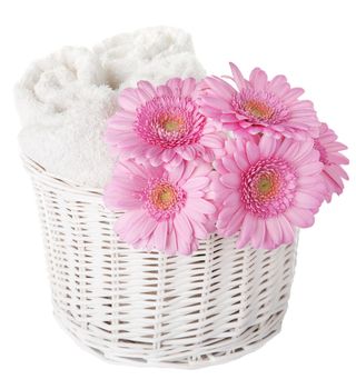 bath and spa set isolated 