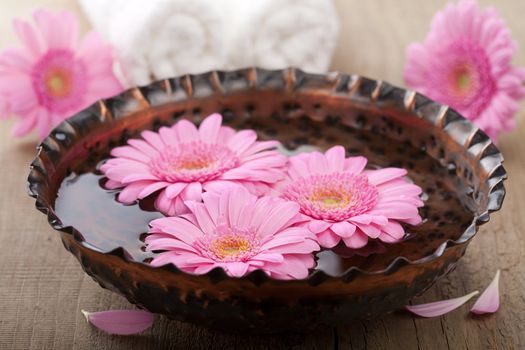 flowers in bowl for aromatherapy 
