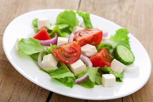 fresh vegetable salad 