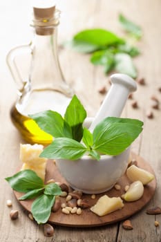 ingredients for pesto sauce 