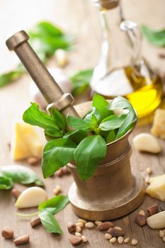 ingredients for pesto sauce 