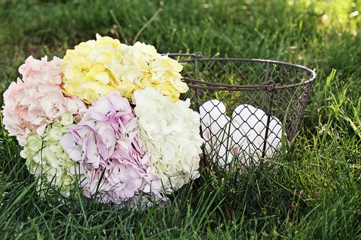 Pastel colored Hydrangeas with a basket of fresh organic eggs. 