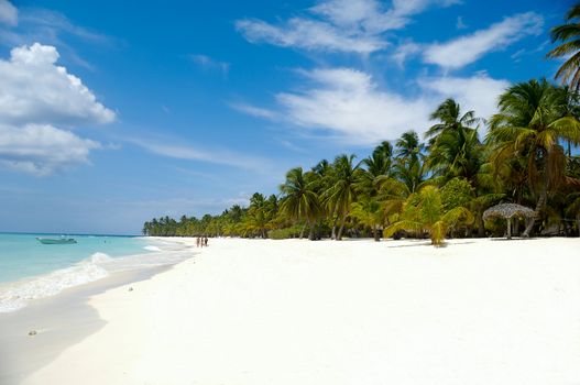 Tropical beach with palm and white sand with the coast in the background