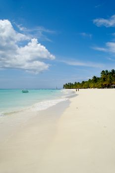 Tropical beach with palm and white sand. Dominican Republic.