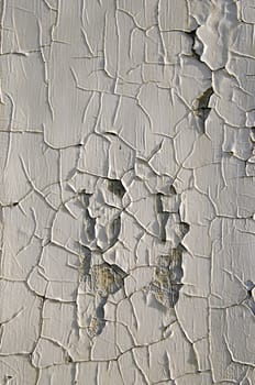 background of retro vintage old white painted wooden plank wall backdrop sunlit by sun.