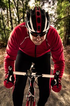 Cyclist on road bike through a forest.