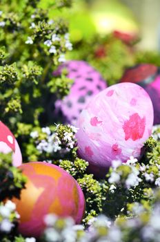 Row of Easter Eggs with Daisy on Fresh Green Grass 