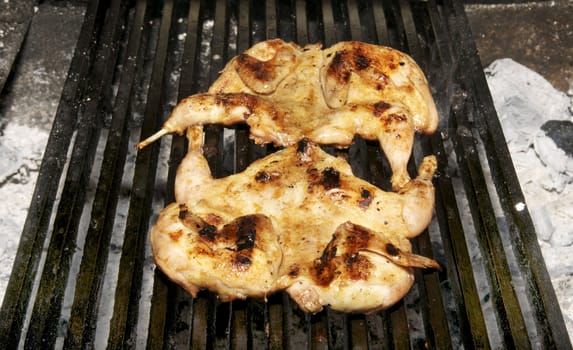 prepare the chicken on the grill in the restaurant