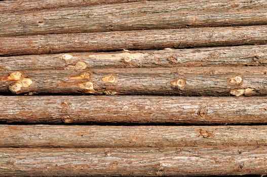 Pile of lumbered pine log