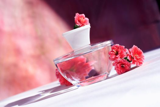 perfume bottle with red flowers with reflection.