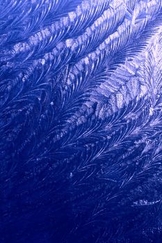 blue pattern of frost on the window