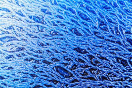 blue pattern of frost on the window