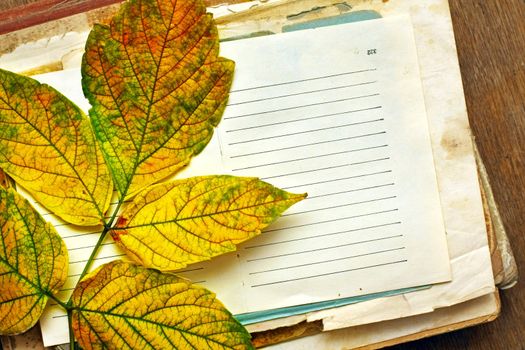 blank sheet of paper with autumn leaf