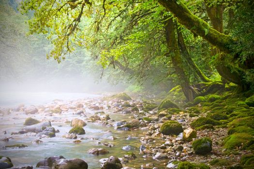 mountain stream, fairy trees on the banks, morning