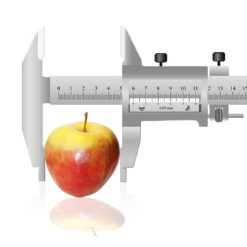 Selection selection of fruit for deducing of new highly productive grades