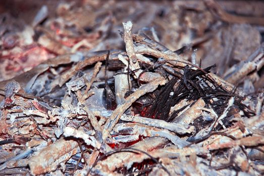 Close-up of fire wood ash. Natural background.