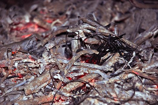 Close-up of fire wood ash. Natural background.