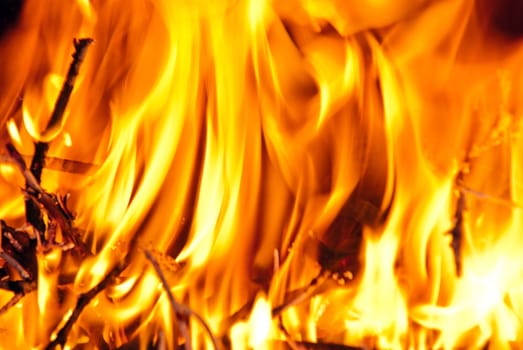 Burning wood in the fireplace and the flames.
