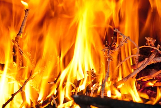 Burning wood in the fireplace and the flames.