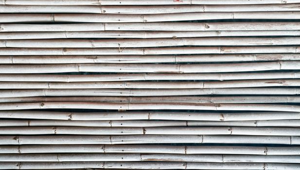 bamboo wall for pattern background
