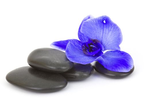 massage stones and orchid flower