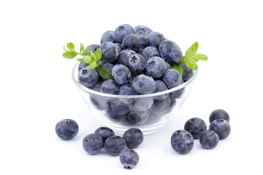 fresh blueberries in a bowl