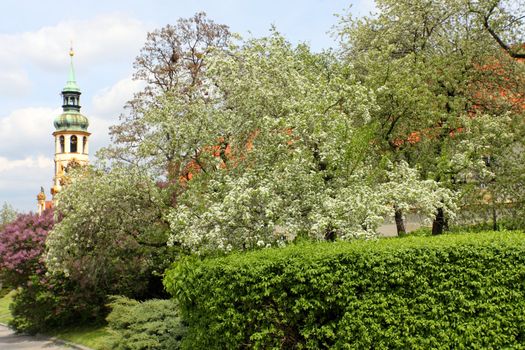 Spring in the city, Prague