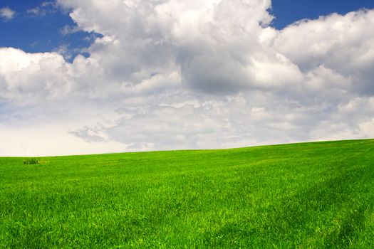 Green field and sky blue with white cloud