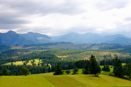Grass field with High Tatras