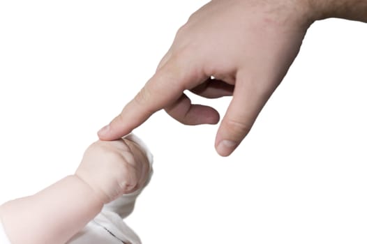 small handle of the baby and big man's hand on a white background