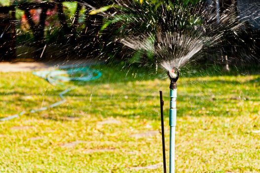 Irrigation sprinkler watering grass