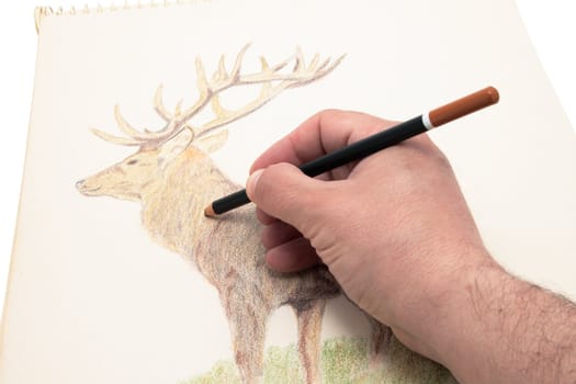 painting to a deer pen on paper outline
