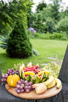 fruit still life with water melon in garden