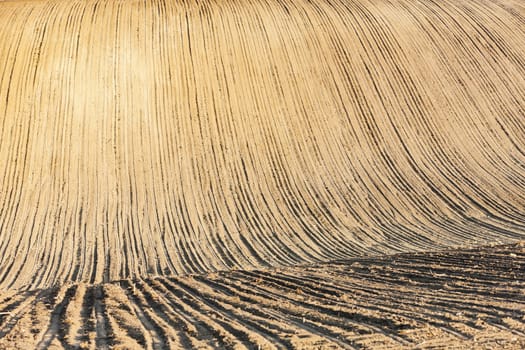 field