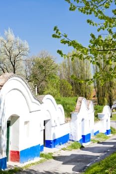 wine cellars, Petrov - Plze, Czech Republic