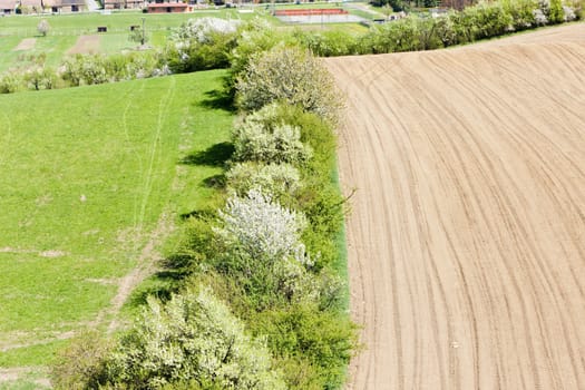 landscape near Kuzelov, Czech Republic