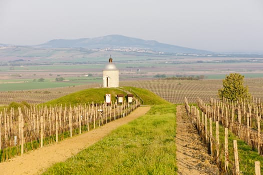chapel with vineyard near Velke Bilovice, Czech Republic
